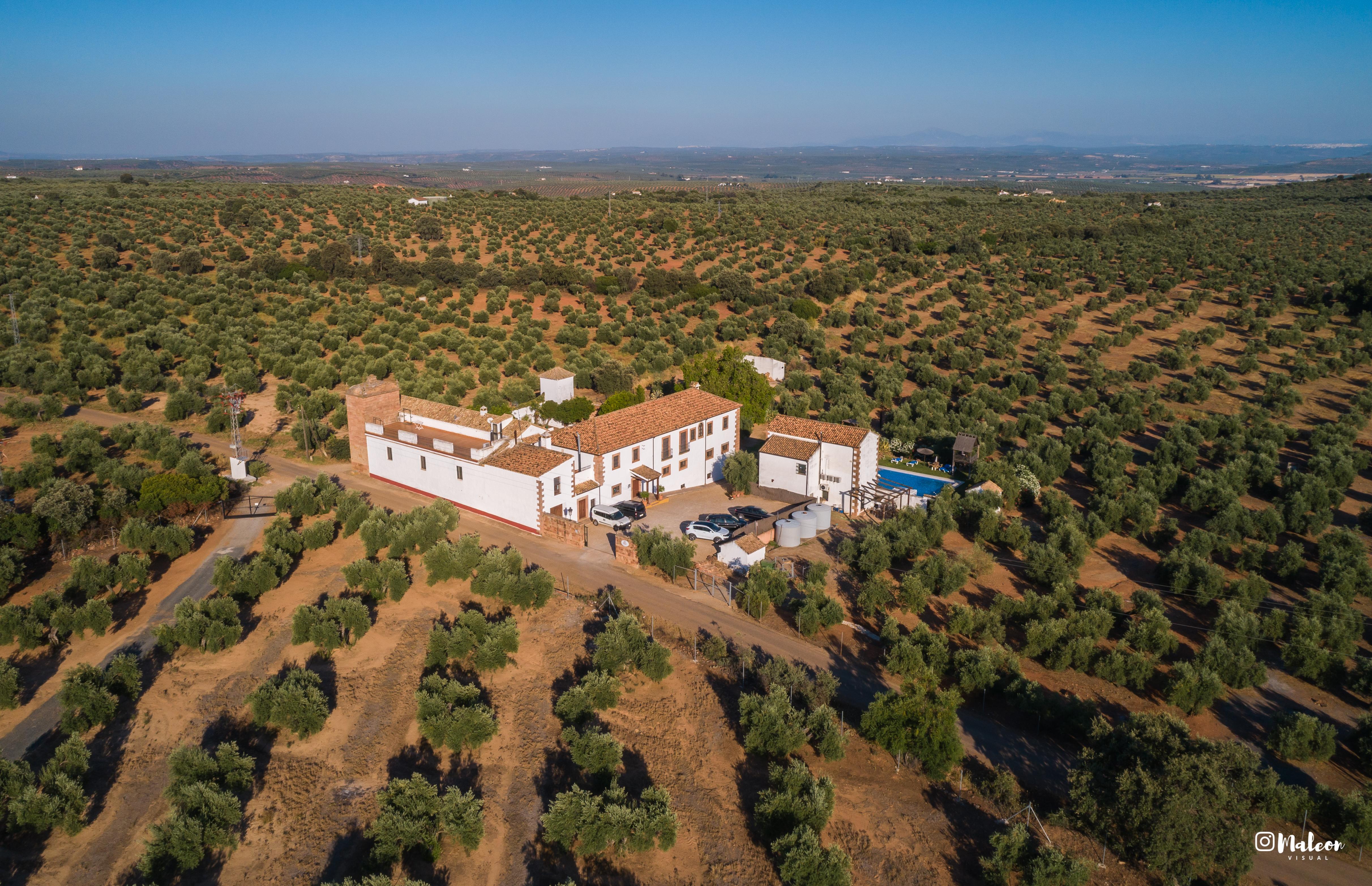 Molino La Nava Pension Montoro Buitenkant foto