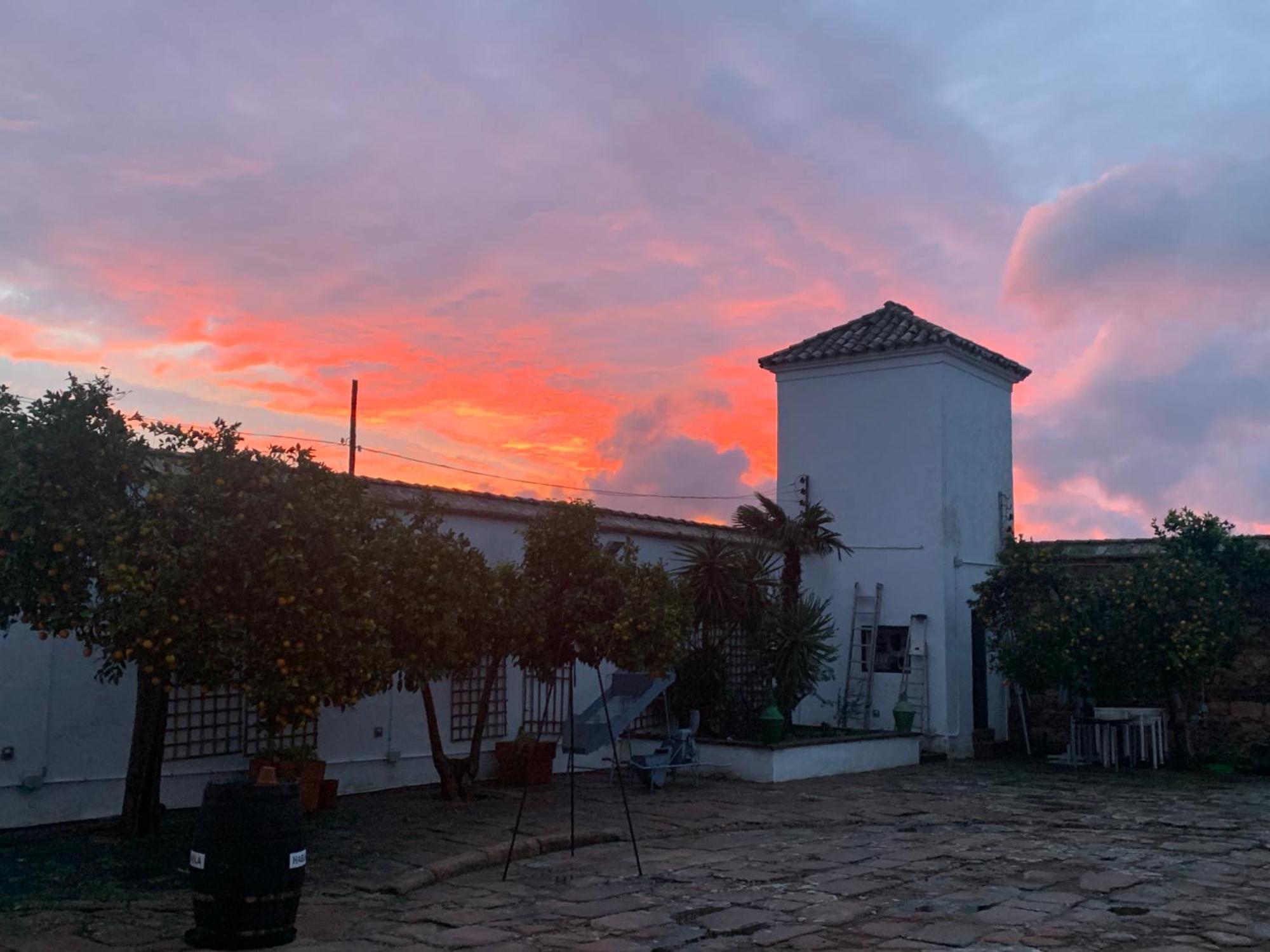 Molino La Nava Pension Montoro Buitenkant foto